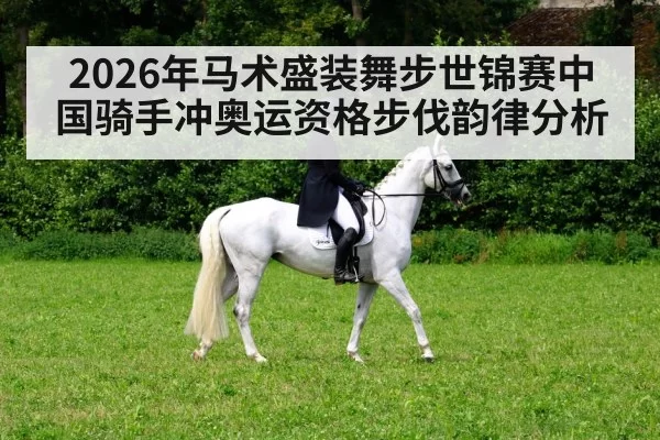 horse dressage performance